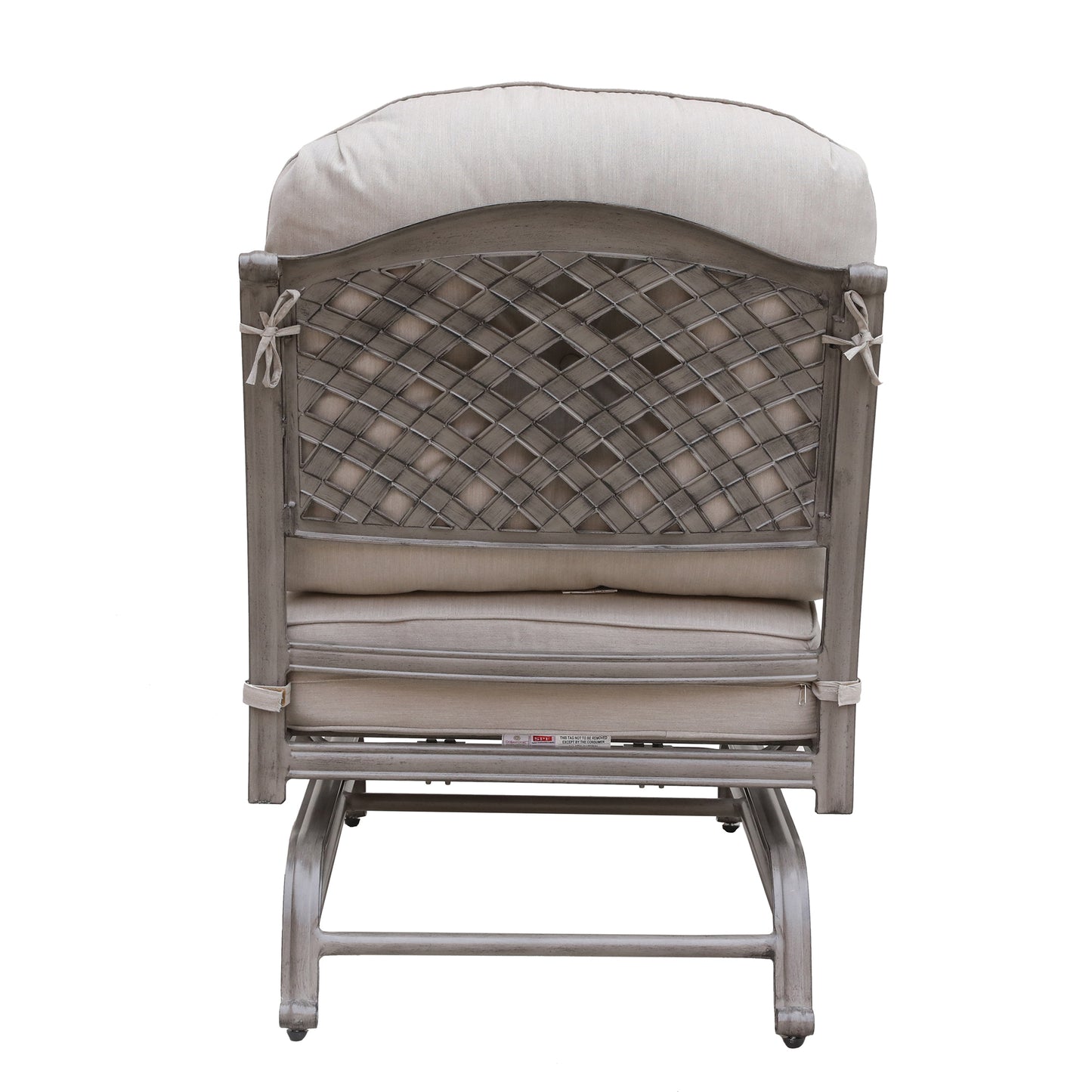 Apoda Cast Aluminum Club Motion Chair With Cushion (Set of 2)