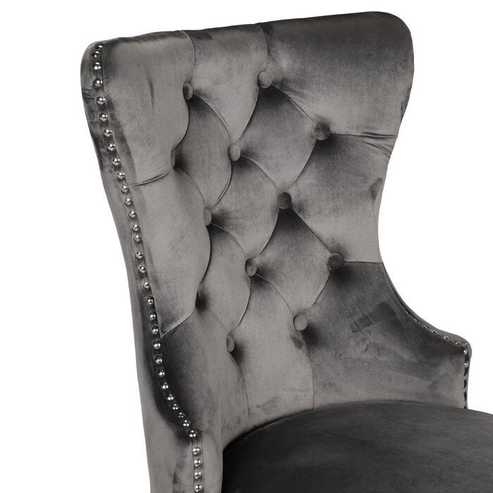Erica Dining Velvet Chair with Golden Leg (Set of 2) - Dark Gray