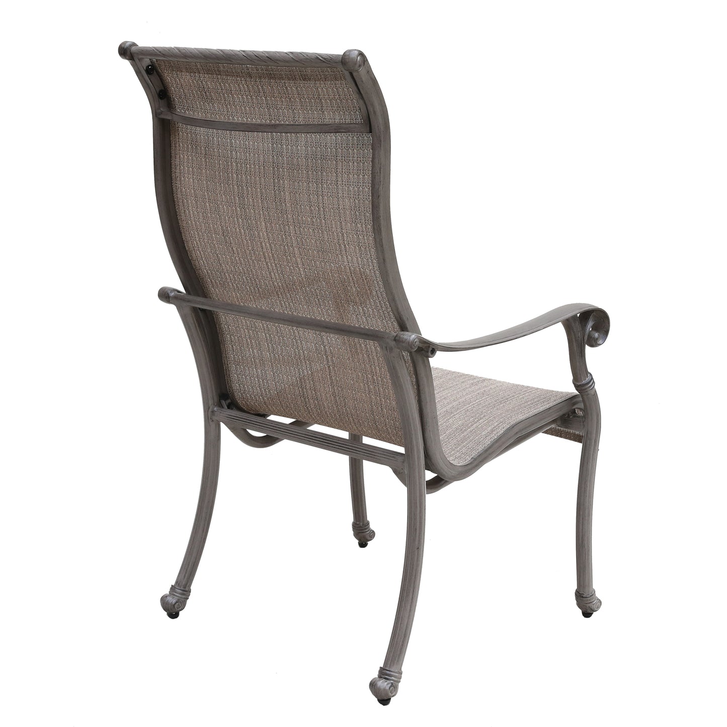Veron Outdoor All-Weather Dining Chairs (Set of 2)