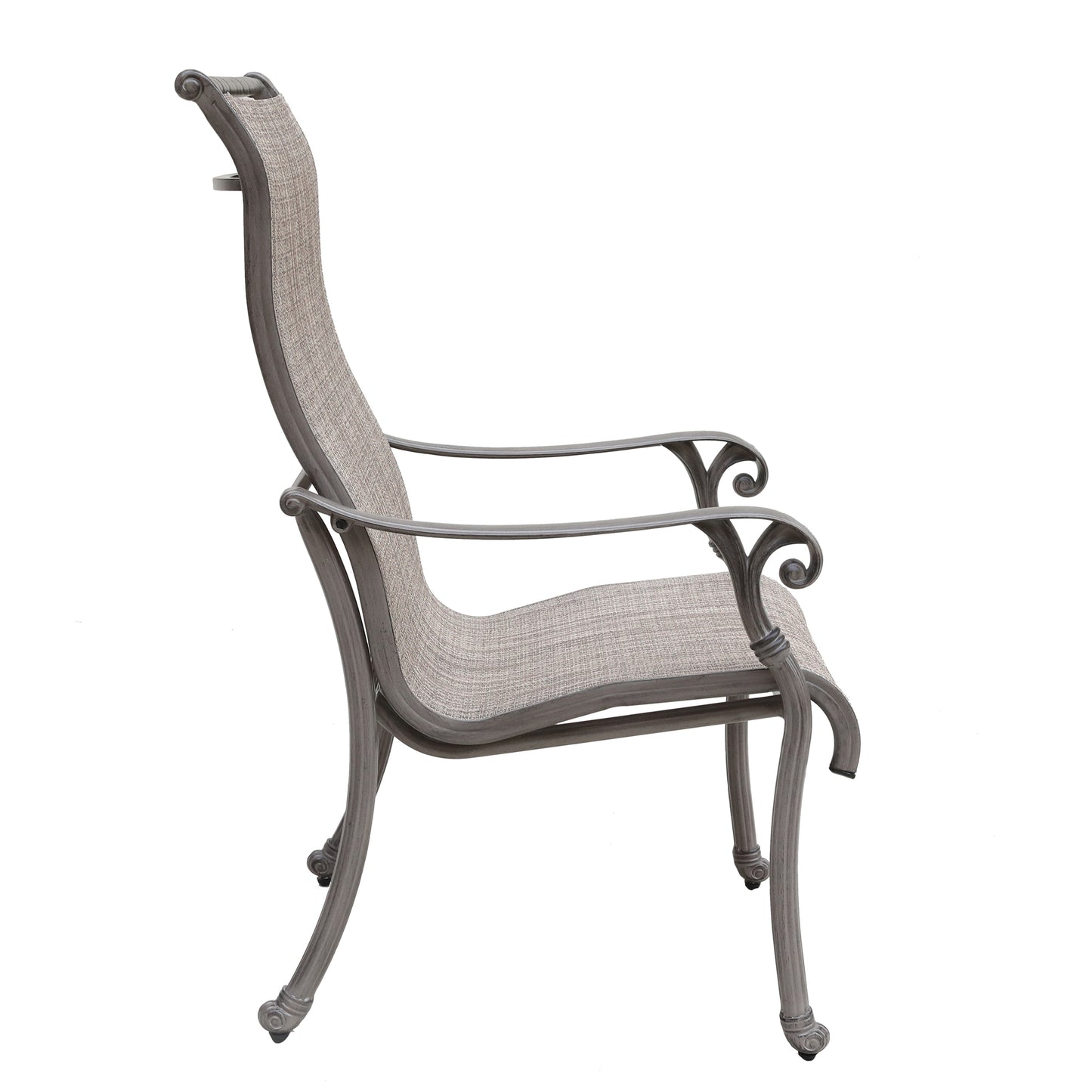 Veron Outdoor All-Weather Dining Chairs (Set of 2)