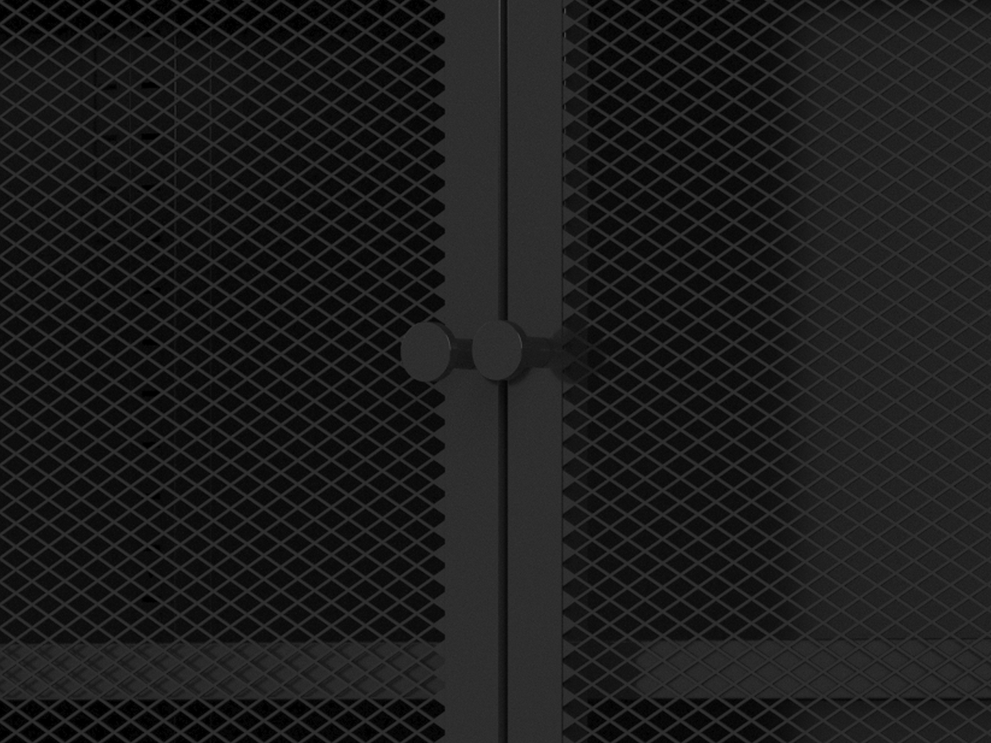 MeshGuard Cabinet