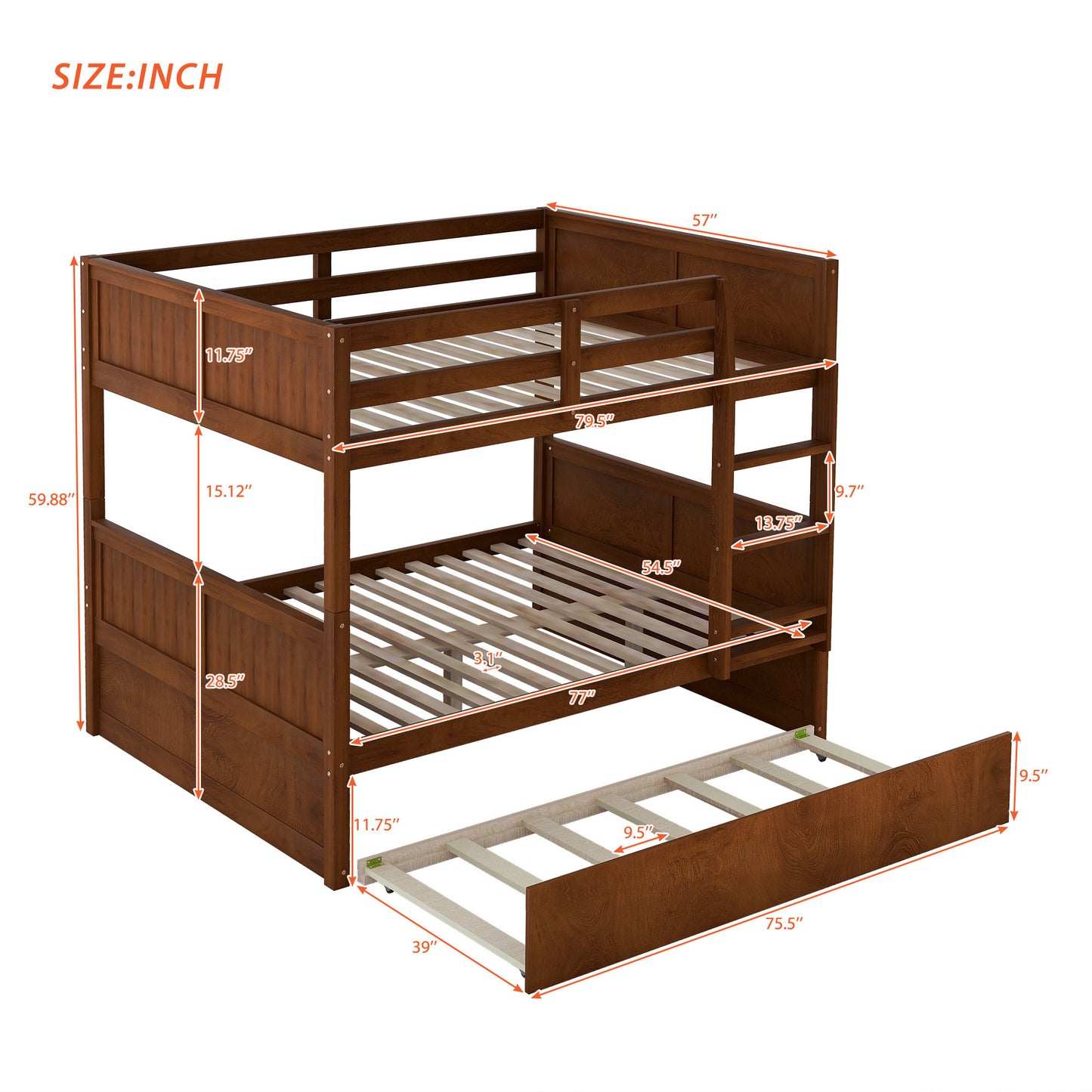Walnut Dreamland Bunk Bed with Twin Trundle