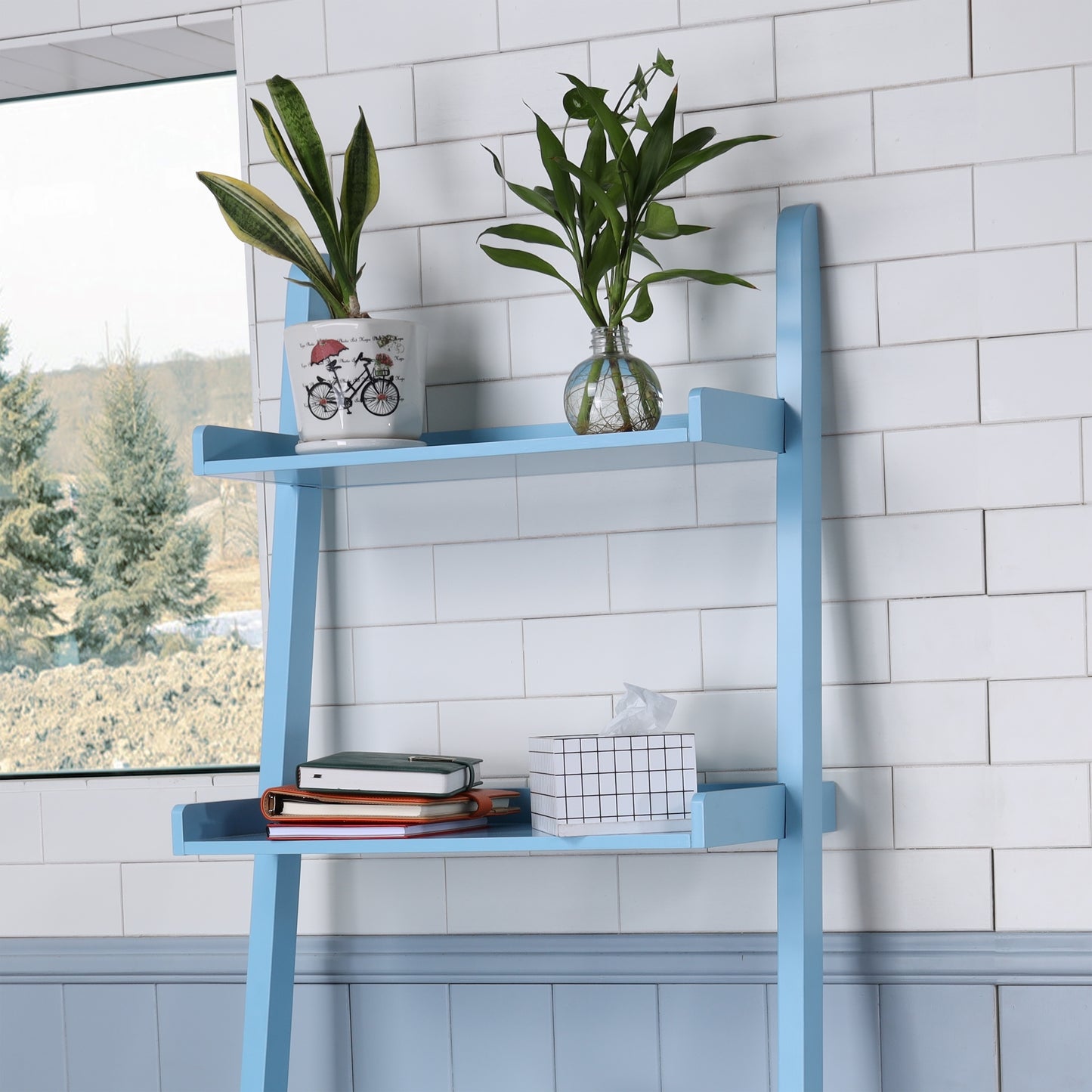 Ascend Shelf - Blue