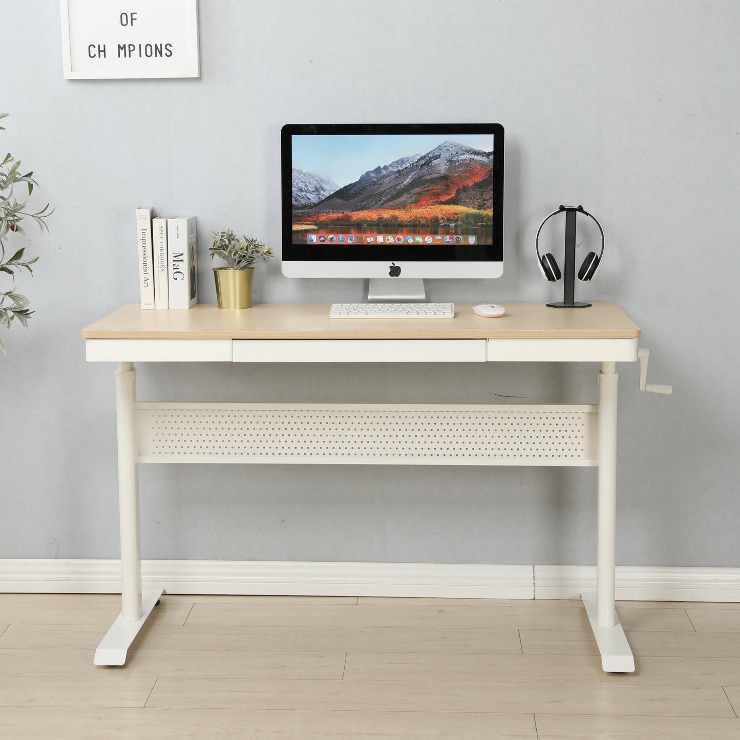 Flex Adjustable Height Stand up Desk