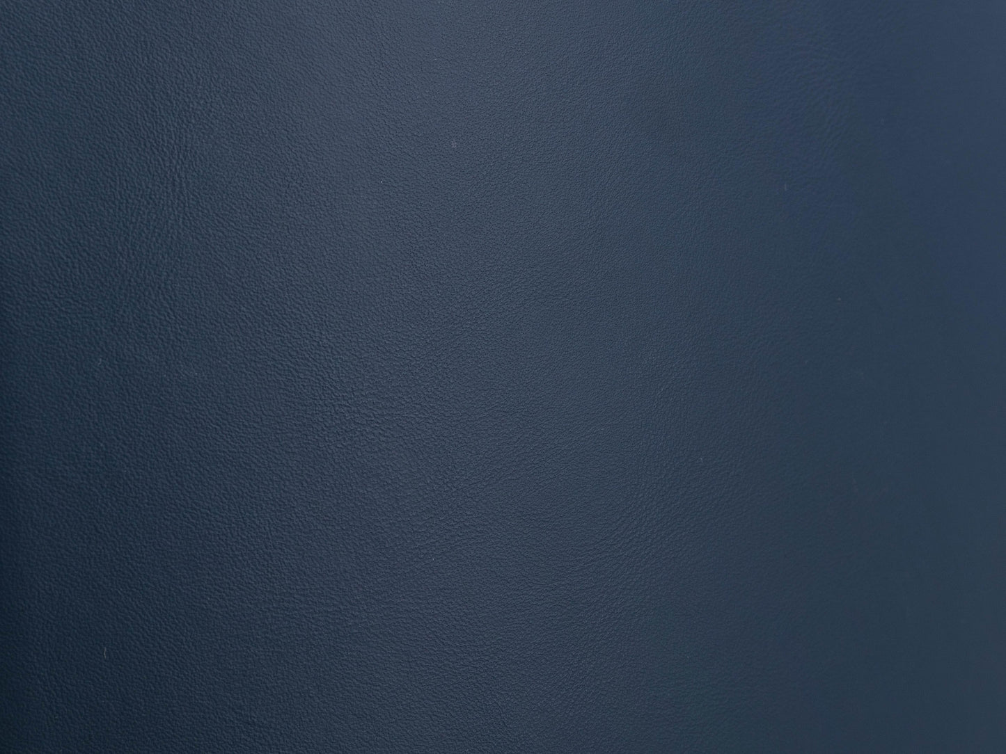 Penguin Kids Chair - Blue