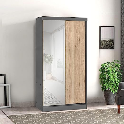 Go Green Woods Mirror Wood Double Sliding Door Wardrobe