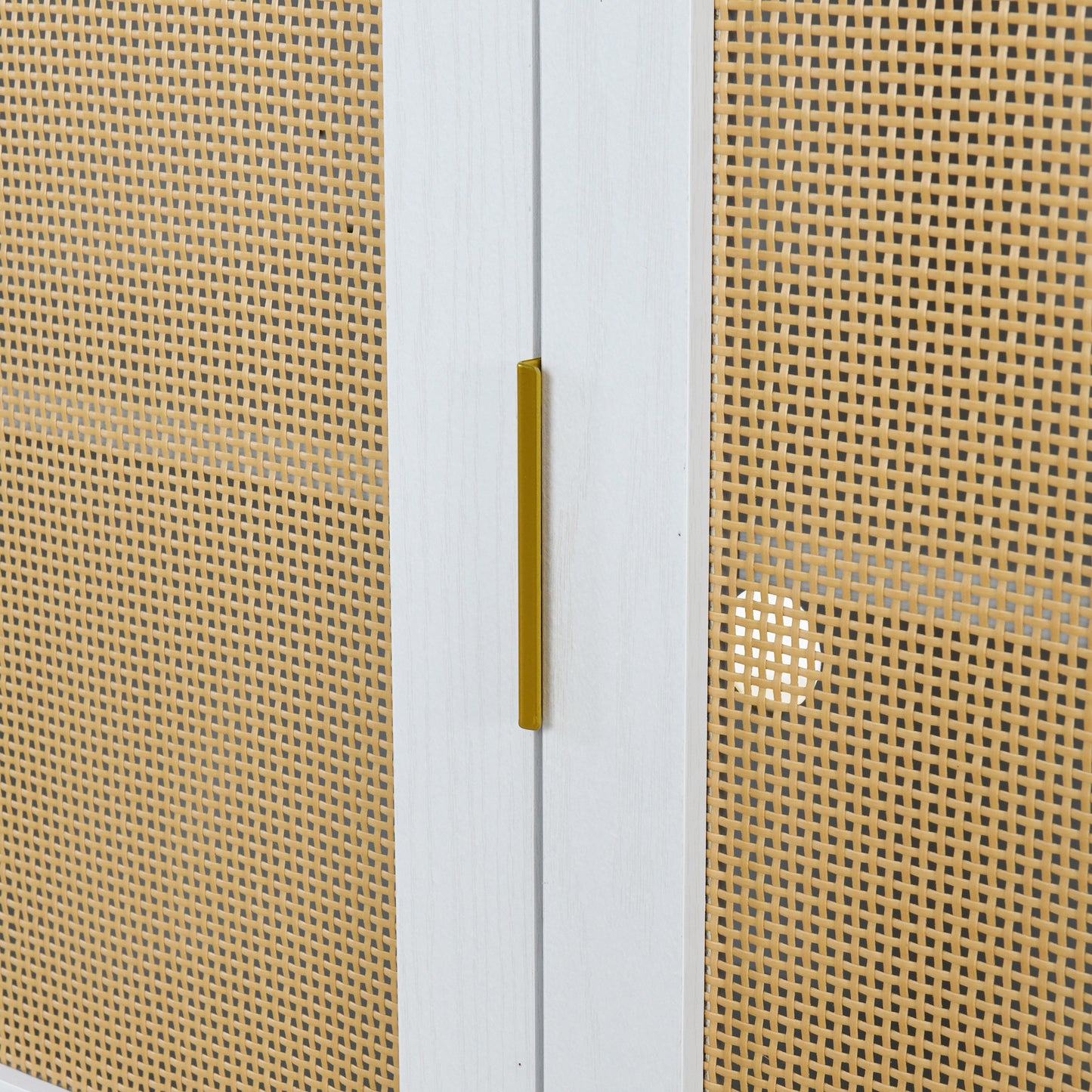 Amari 2- Rattan Door - White