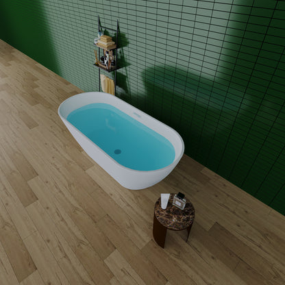Sleek  55 " Acrylic Freestanding Soaking Bathtub - White