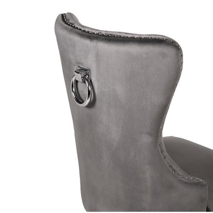 Erica Dining Velvet Chair with Golden Leg (Set of 2) - Dark Gray