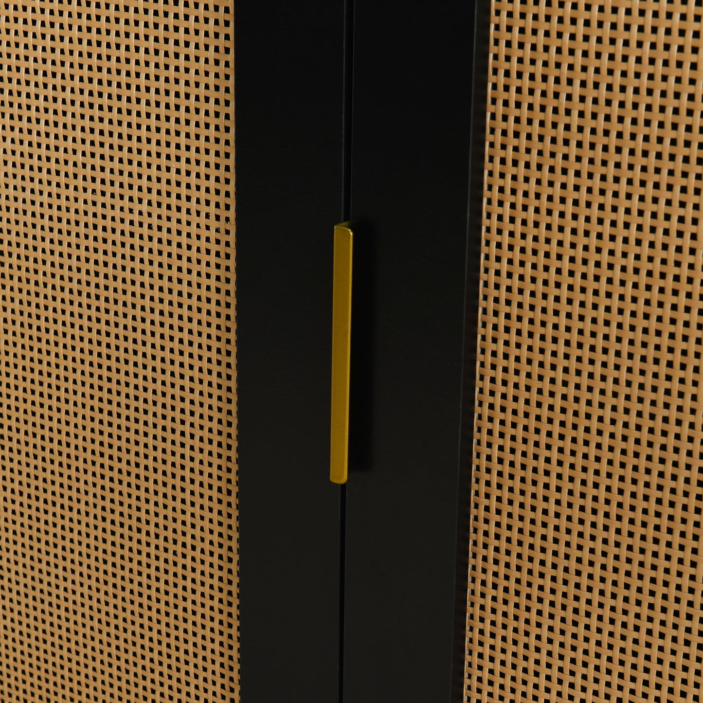 Amari 2- Rattan Door - Black