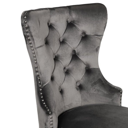 Erica Dining Velvet Chair with Golden Leg (Set of 2) - Dark Gray