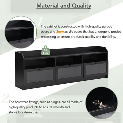Ashton TV Stand with Acrylic Board Door - Black