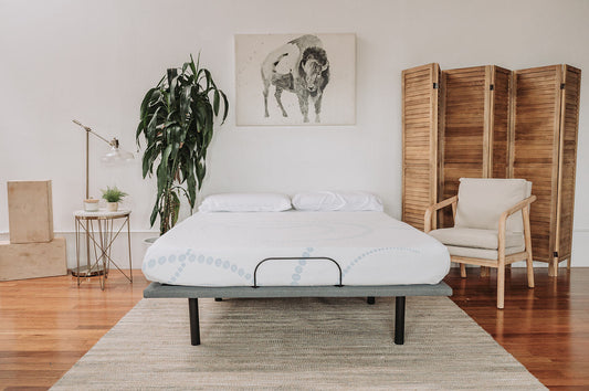 Omne Sleep 8" Memory Foam Mattress - Twin