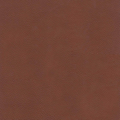 Aiden Leather Loveseat
