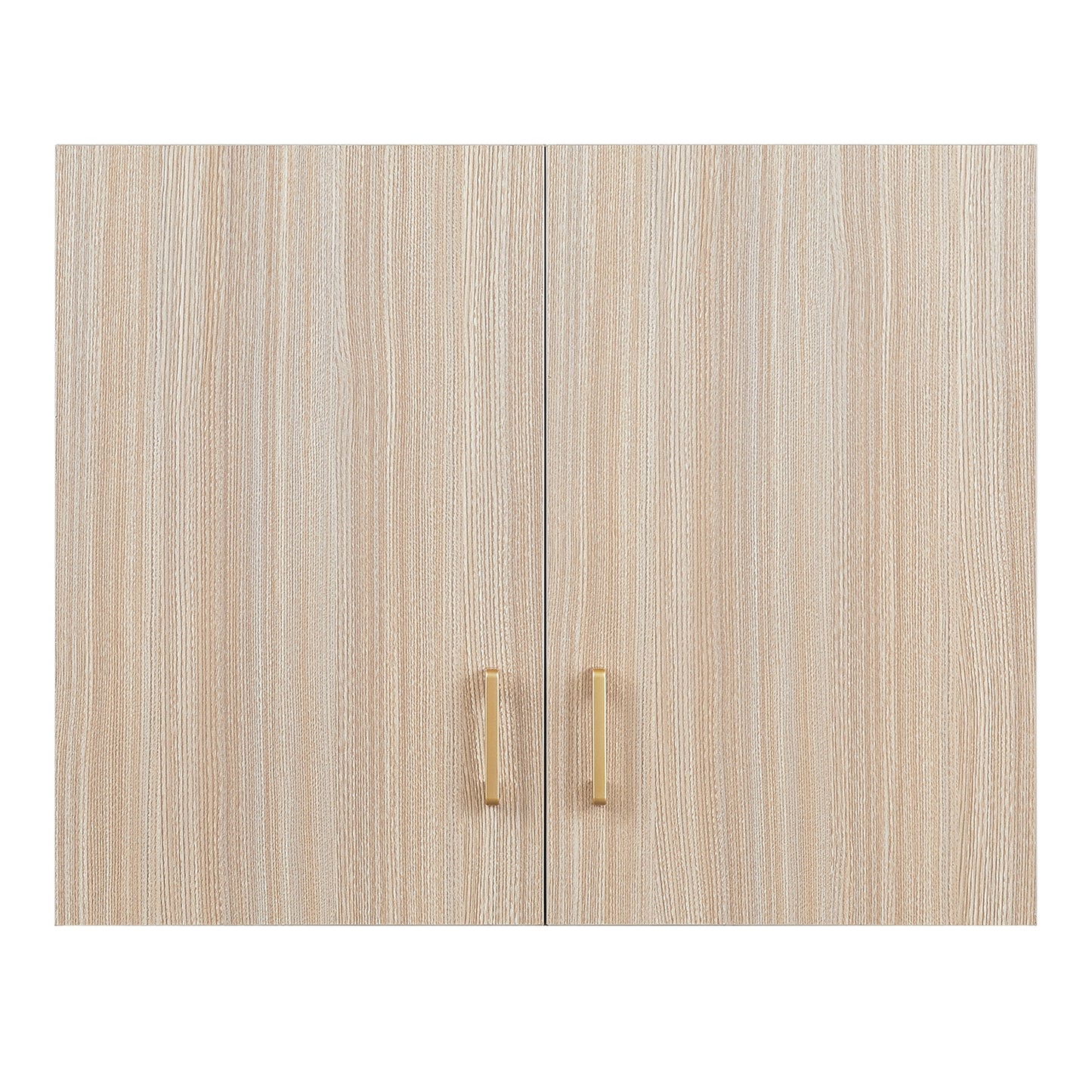 Secure Guard Cabinet