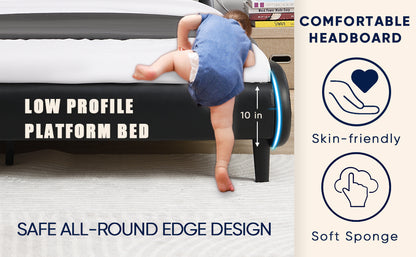 WaveGlow Queen Bed Frame