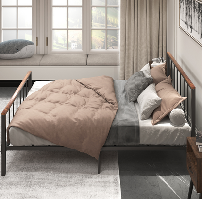 Marsh Queen Size Metal Platform Bed - Black