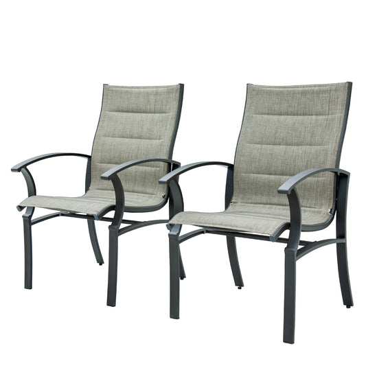 Adela Patio Dining Chairs (Set of 2) - Gray
