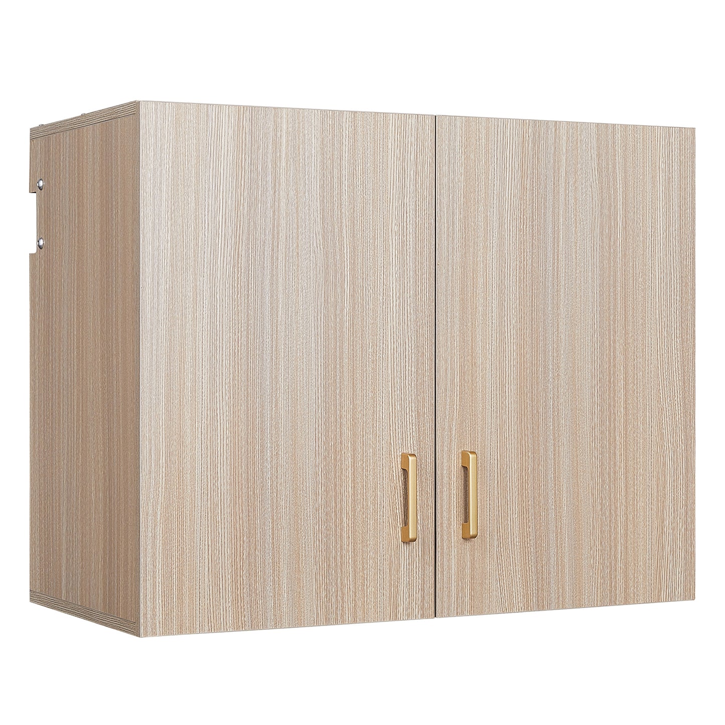 Secure Guard Cabinet